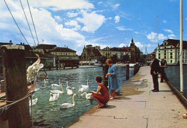 Hafenpartie mit Schwänen und Blick zum Kornhaus