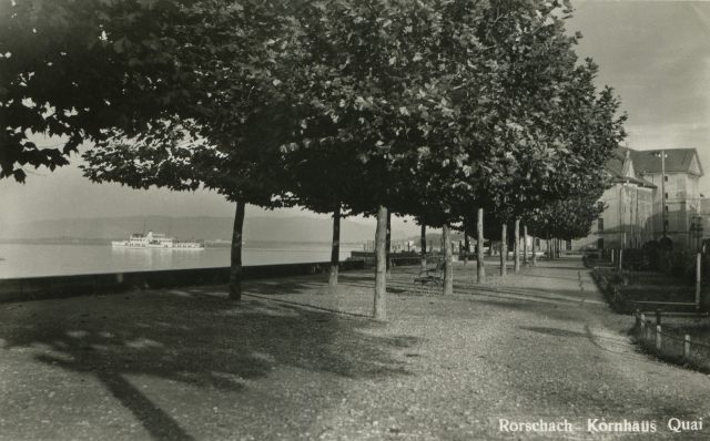 Schattiger Kornhaus-Quai mit Platanenallee und Passagierschiff