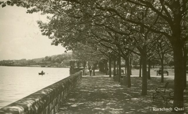 Schattige Seeallee am Rorschacher Quai