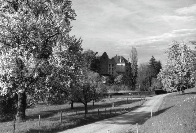 Schloss Wartensee zur Zeit der Baumblüte