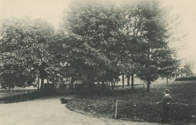 Idylle im Park des Instituts Wiget mit Schüler, Stella Maris