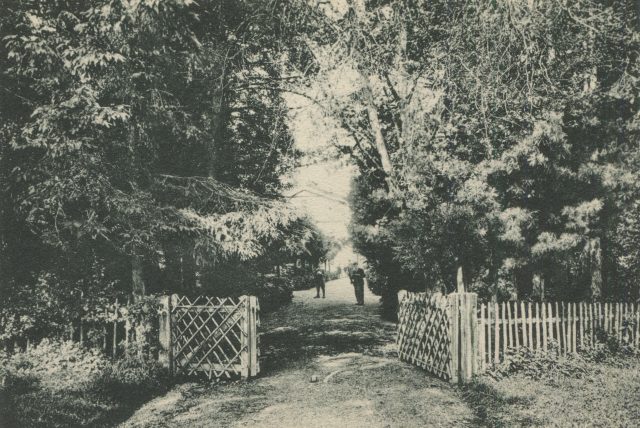 Geöffnetes Gartentor und Allee zum Institut Wiget, Stella Maris