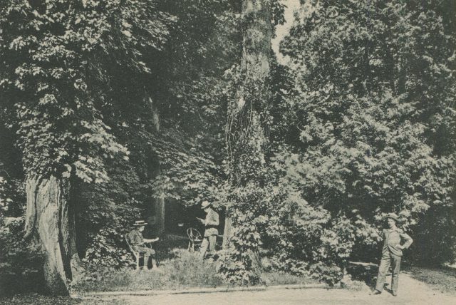 Schattiger Sitzplatz im Park des Instituts Wiget, Stella Maris