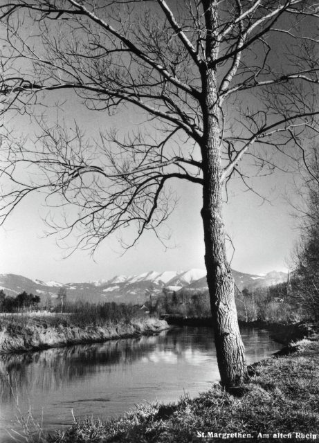 Blick am Alten Rhein gegen die verschneiten Berge