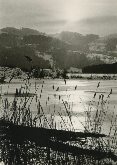 Winter-Stimmung am «Baggersee» Eselschwanz