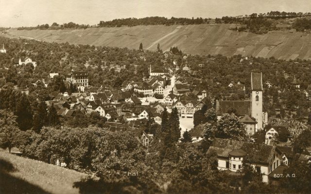 Klassischer Blick in Sepia